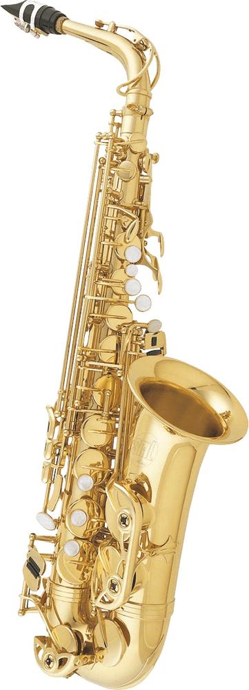 Saxophone "Student Model" Vernie