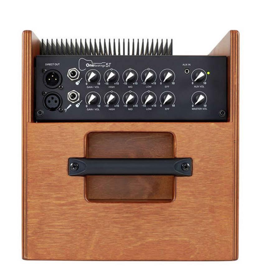 2 Channel Acoustic instruments amplifier 50W + reverb 