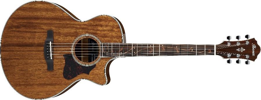 Electro-Acoustic Guitar AE245 # Solid Mahogany top ( available March )