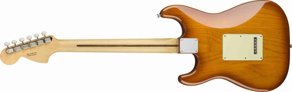 American Performer Stratocaster®, Rosewood Fingerboard, Honey Burst 