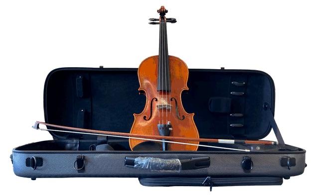 Handmade ProSeries ARCADIA violin 4/4 included DeLuxe case, Polycarbonate